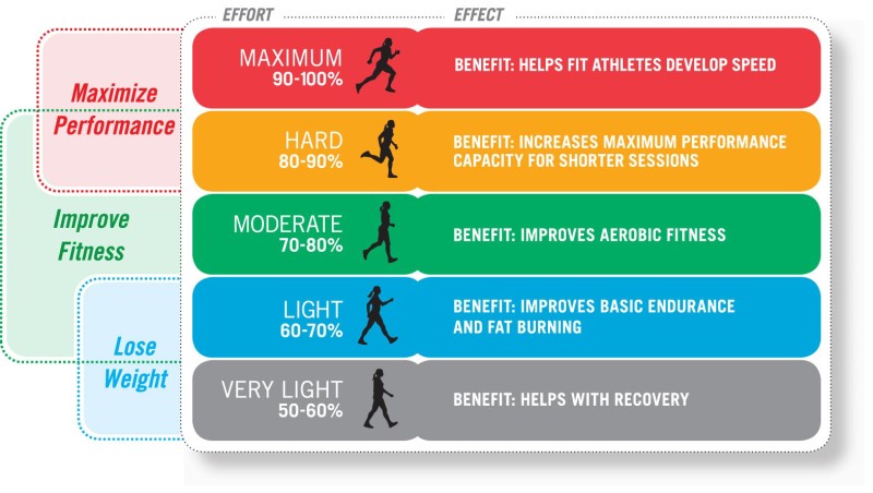 heart rate zones chart